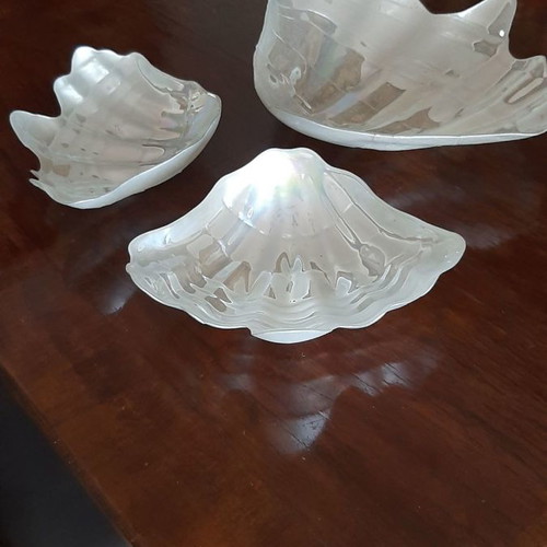 Three platters in the shape of a conch