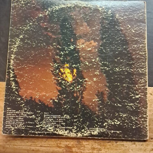 Lighthouse Sunny Days record used, good condition