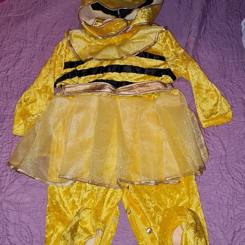 Carnival bee costume 12 months like new