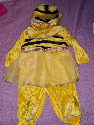 Carnival bee costume 12 months like new