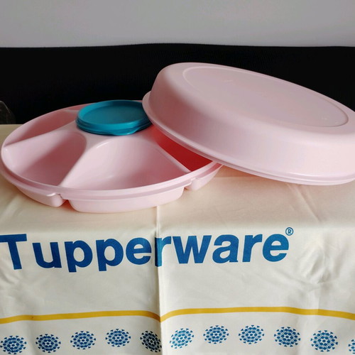 Large Party Server new with lid and multiple compartments