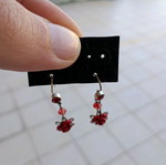 Rose earrings used