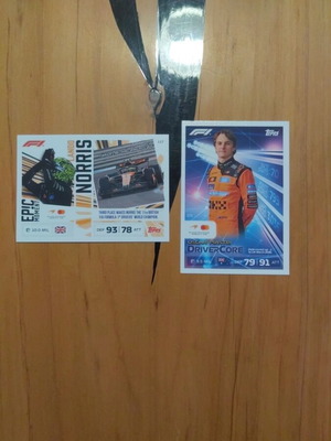 F1 Turbo Attax κάρτες McLaren F1 ομάδα, σαν καινούργιο