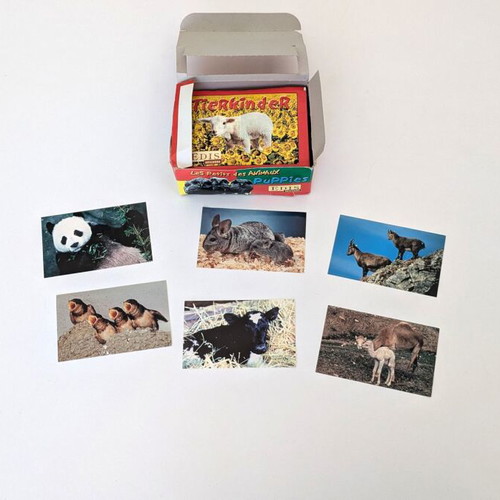 EDIS Stickers 1999 new, 33 sealed packs with puppy stickers