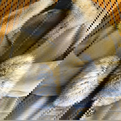 Δερμάτινο γυναικείο σακάκι Zeda Collection σαν καινούργιο, μπεζ, μέγεθος Μ