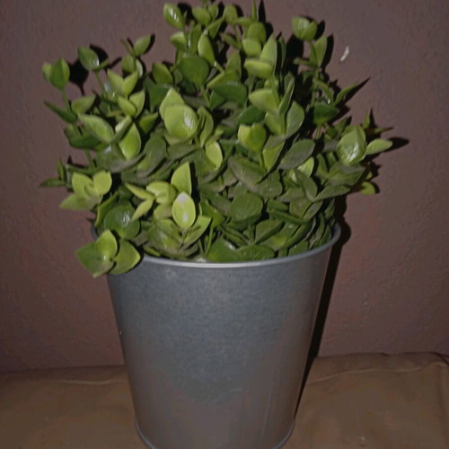 Artificial plant ÅKERBÄR IKEA like new in galvanized metal pot