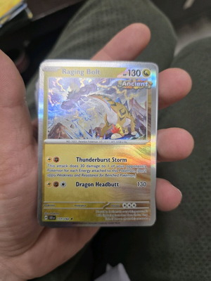 Raging Bolt Holo card new