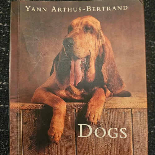 Book with dog breeds like new, small size, in English
