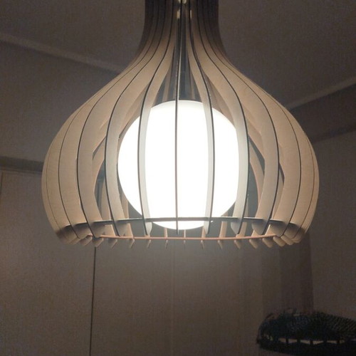 Ceiling light fixture