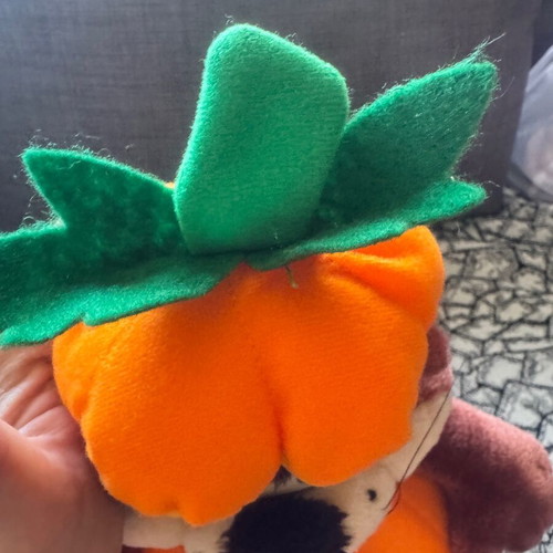 Taz plush Looney Tunes like new, dressed as Halloween pumpkin