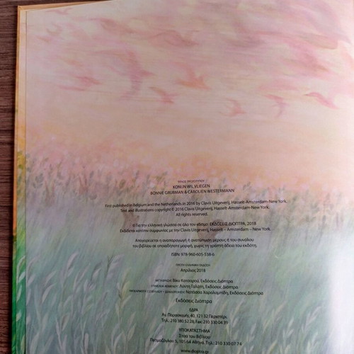 The Rabbit Who Wants to Fly! children's book by Bonnie Grubman