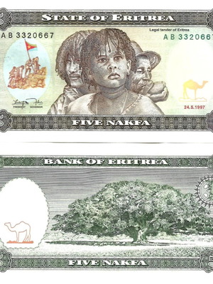 Eritrea 5 Nakfa 2019 banknote new