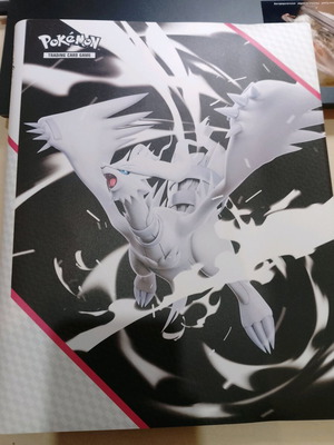 Pokemon binder with 69 cards like new