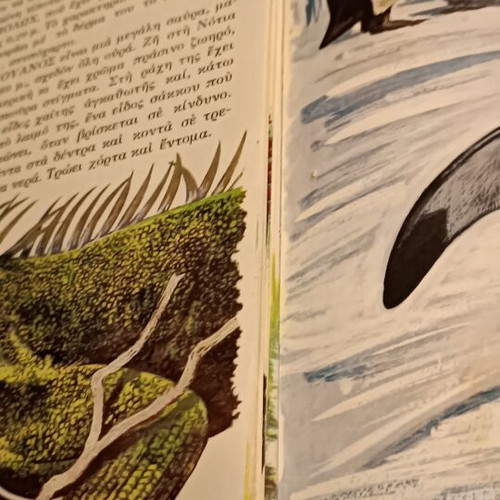Encyclopedia of Animals used, Ankyras 1966 edition