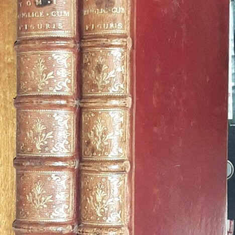 Homer His Iliads two-volume illustrated edition by John Ogilby like new
