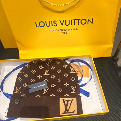 Louis Vuitton brown beanie new unisex