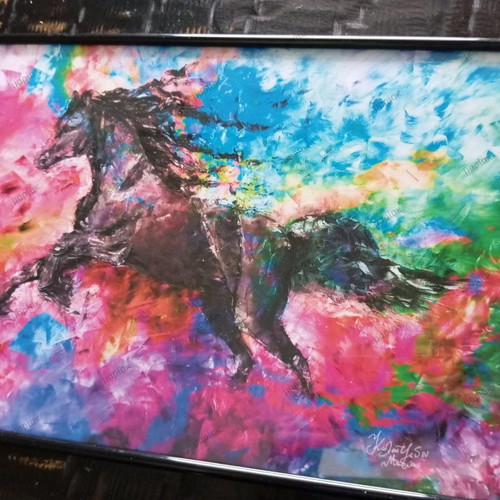 Digital painting Run free framed 30x40cm new