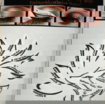  Eyeliner και Eyeshadow Stencil