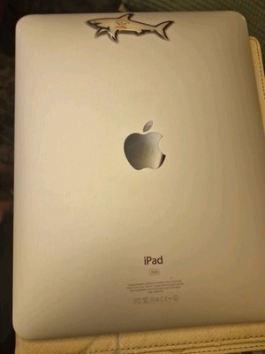 iPad 16GB used with Puro case