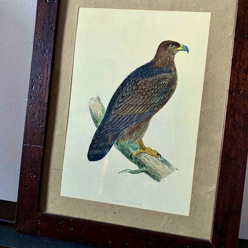 Engraving from England like new with Golden Eagle theme