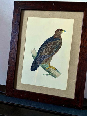 Engraving from England like new with Golden Eagle theme
