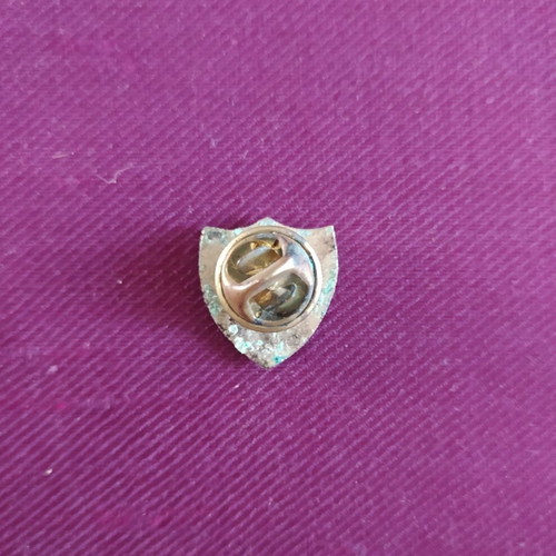 Vintage NATO lapel pin used, STANAVFORMED badge