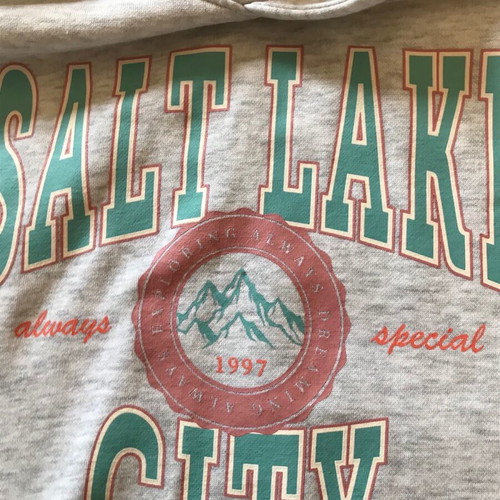 H&M Kids Hoodie Salt Lake City used, size 146/152, grey