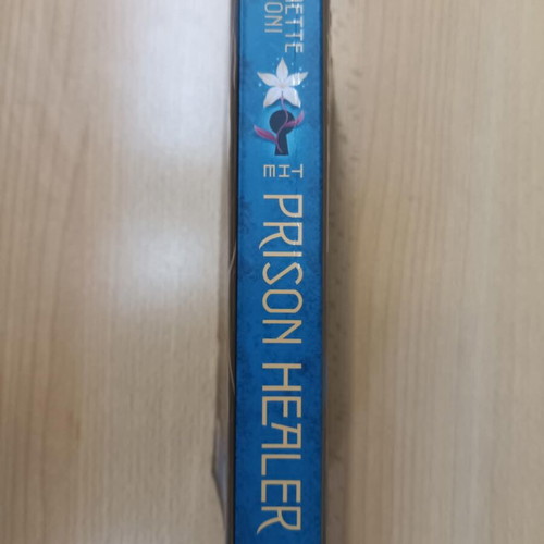 The Prison Healer book used, English fantasy young adult