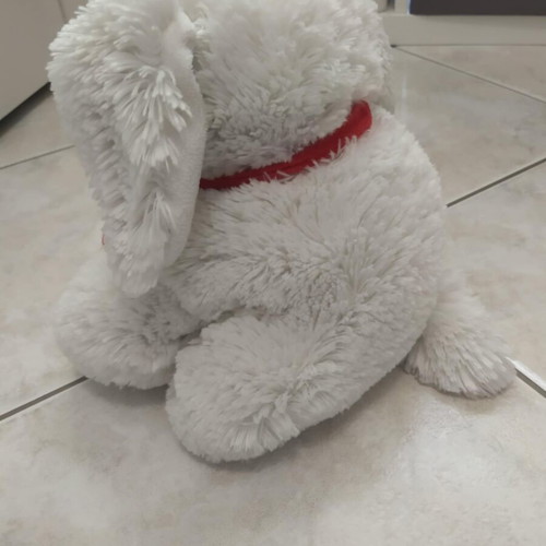 Plush Bear Dog Like New With I Love You Heart, 22cm