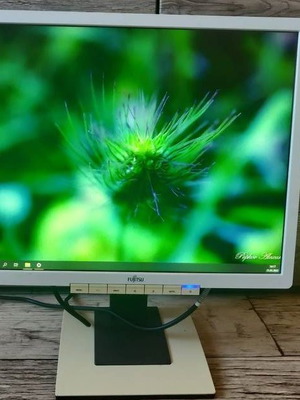 Fujitsu B19-6 Business Monitor 19 inch with speakers and adjustable stand