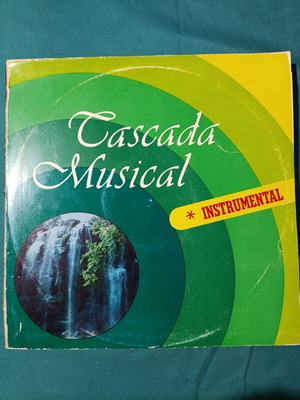 Tascada Musical instrumental vinyl record