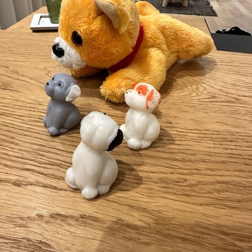 Mammy Surprise Dog used with 3 puppies