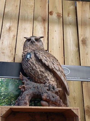 Ръчно изработена нова бухал