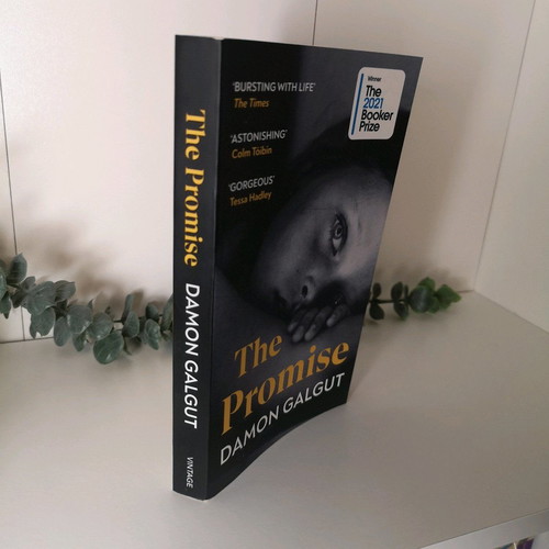 The Promise by Damon Galgut used, paperback