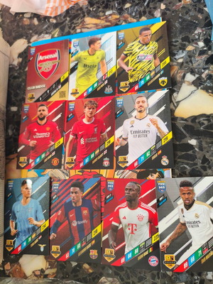 Panini cards new, pack all together