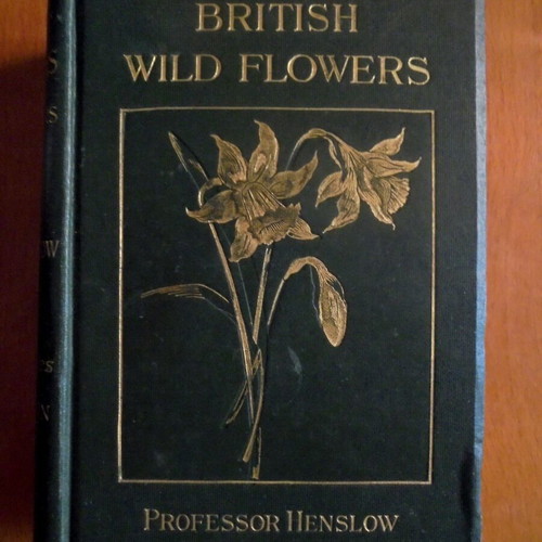 British Wild Flowers In Their Natural Colours And Form used book