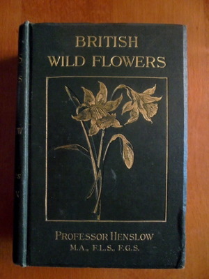 British Wild Flowers In Their Natural Colours And Form used book