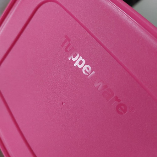 Tupperware Freezer Container 1.1L New with Red Lid