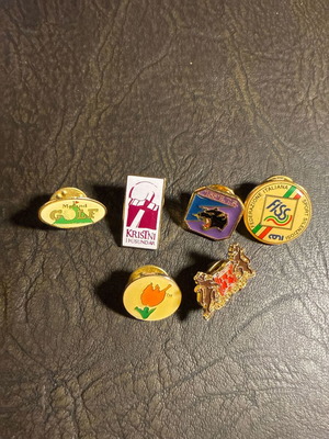 Vintage metal pins set of 6, new condition