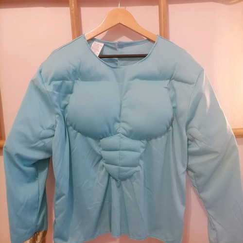 Adult genie costume like new, size large, carnival outfit