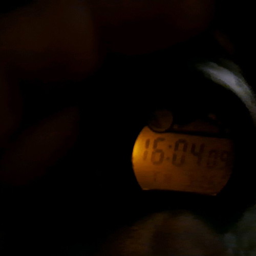 Casio W-753 used men's watch with tide and moon phases