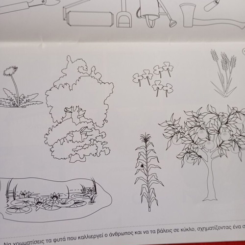 Image and Exercise like new, kindergarten exercises book