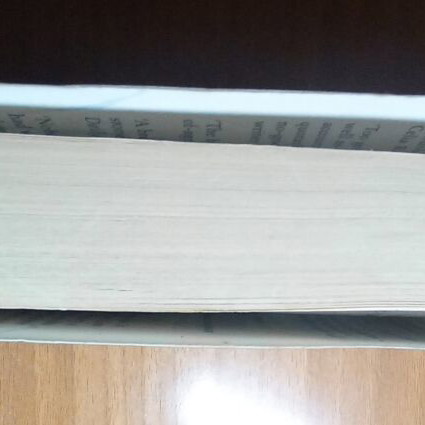 A Gathering Light used English book
