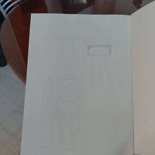 Learn to Draw Wild Animals book