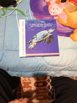 The Sea Turtle and Ocean Animals book like new