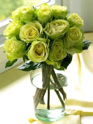 Green Rose Seeds, pack of 50, rare light green flower
