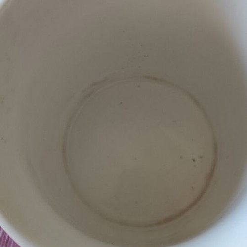 Mug used with designs