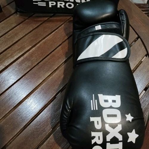 Boxing Pro Stripes 12 oz gloves like new with case
