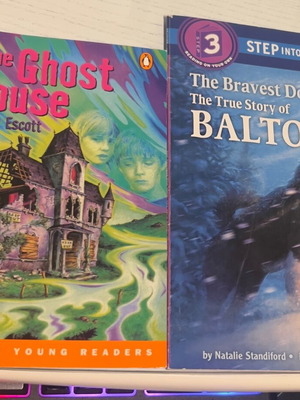 English books like new for beginner level