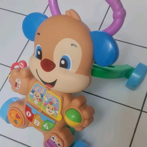 Fisher Price Puppy Walker used for 6+ months